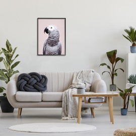 Stupell Industries African Grey Parrot Portrait Black Framed Giclee Art Design by Sisi and Seb