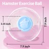 7.9 inch Hamster Ball, Hamster Exercise Toys, Running Ball, Clear