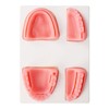 Dental Suture Practice Kit Silicone Model Pliers Tweezers Thread Oral