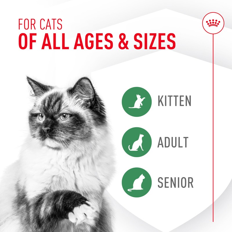 Royal Canin Probiotics for Cats Digestive and Immune Health Powder