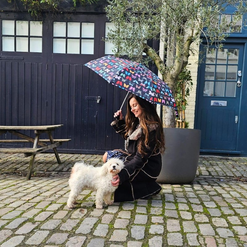 Fulton Minilite-2 Umbrella, Compact Folding, Light Travel Umbrella (Butterfly)