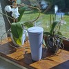 Nadia's Little Treasures Studded Cup Tumbler Straw Lid - Plastic