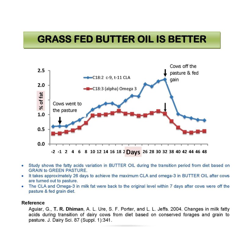 High Vitamin Butter Oil in 13 oz glass jar