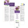 Monk's Pepper (Vitex agnus-castus) Fruits Alcohol-Free Mother Tincture Naturalma -