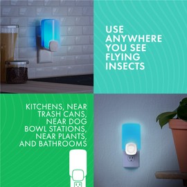 STEM Insect Light Trap Refill Cartridges, Indoor Fruit Fly Trap, Insecticide-Free Pest Control for Home, Attracts and Traps Flying Insects, Official STEM Refills - 4 Count