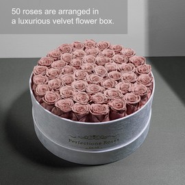 50-Piece Forever Real Roses in a Velvet Box, Flowers for Delivery Prime, Valentines Day Roses, Presereved Flowers Anniversary Birthday Gifts for Women Mom and Wife (Dusty Rose)