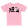 Merida Collegiate Toddler Kids T-Shirt 2T Light Pink