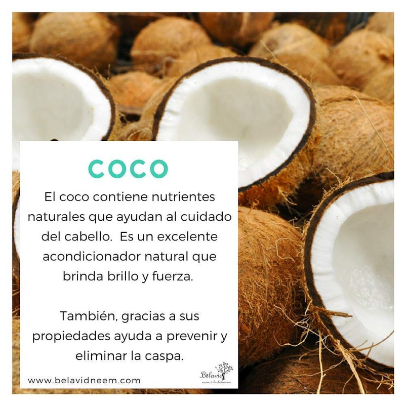 Shampoo,Acondicionador y Tónico Capilar Neem
