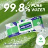 Jolly Care Wet Wipes for Adults, Adult Wipes for Hands