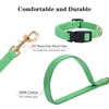 No Pull Dog Harness- Lightweight, Soft, Adjustable Small Harness Collar