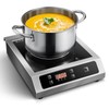 Zomagas Portable Commercial Induction Cooktop,1800W Induction Burner with Sensor Touch