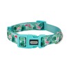 Petiry Flamingo Pattern Dog Collar, Nylon Webbing Plus Polyester Ribbon