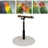 Play Stand, Adjustable Bird Perch, Portable Detachable Play Stand for