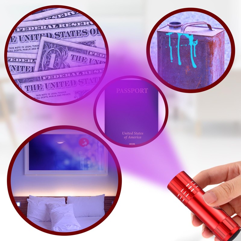 Riakrum 12 Pcs UV Blacklight Flashlights LED Handheld Mini Light