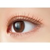 Excel LA02 Lash Optimism Ash Brown