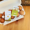 Havongki 100pcs Premium Fresh Farm Eggs Handling Care Instructions Cards