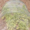 5'x100' Mosquito Bug Insect Bird Barrier Hunting Blind Garden Netting