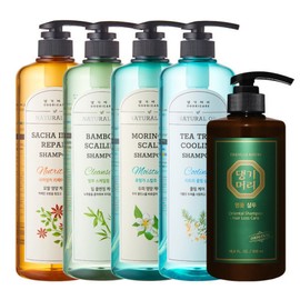 Danggi Herbal Herbal Shampoo 1000ml 1+1+1 BEST Collection Tea Tree Moringa Bamboo Sakaingki Luxury Hergan Treatment / 댕기머리 허벌 샴푸 1000ml 1+1+1  BEST 모음 티트리 모링가 밤부 사카잉키 명품 한방 아르간 트리트먼트