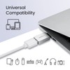 Perixx PERIPRO-404 USB C Male to USB A Female Adapter