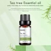 2pcs Aceite Esencial De Árbol De Té Natural 100% Puro