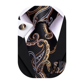 Hi-Tie Silk Paisley Ties for Men Necktie Pocket Square Cufflinks Set Foral Tie Sets Formal Business,Gold Black