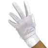 Hatakeyama MG-C2B MG-C2W Catcher Gloves, For One Hand, Left Hand,
