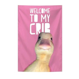 Welcome to My Crib Flag Hip Hop Sunglasses Dizzy Duck Funny Banner For Room Durable Man Cave Wall With Brass Grommets For College Dorm Room Decor (D10)