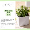 Lechuza Cube - Glossy, High-Quality Plant Cube with Stick Irrigation