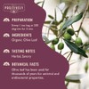 Organic Positively Botanicals Company, Olive Leaf Herbal Tea Bags, 20