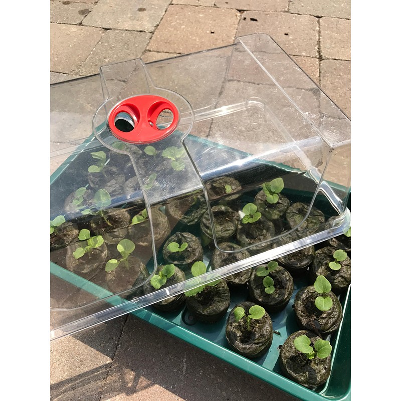 Garland Large High Dome Propagator