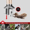 Roamwild PestOff Squirrel Proof Bird Feeder (Antique Platinum)