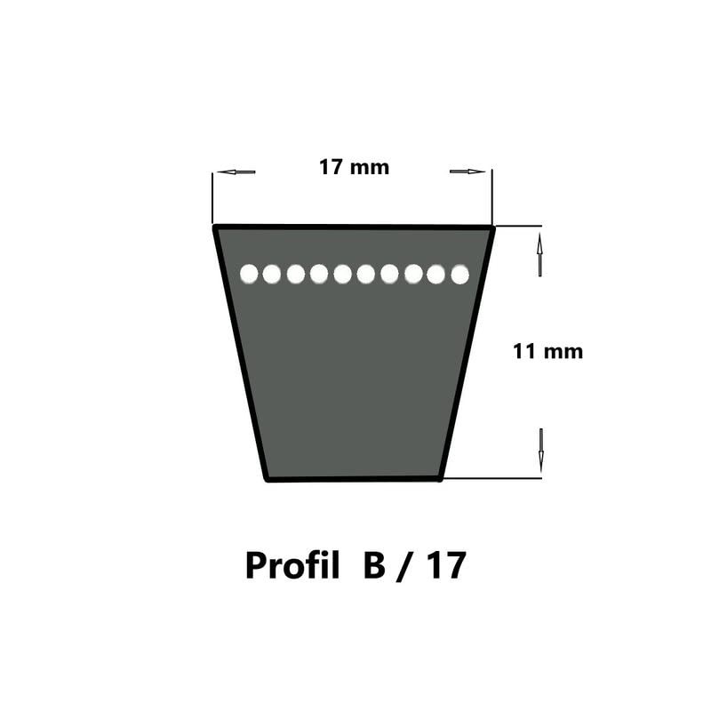 SWR V-Belt B41-17 x 1040 Li, Classic