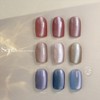 From the Nail Sepia Magnetic Gel Single Item / 프롬더네일