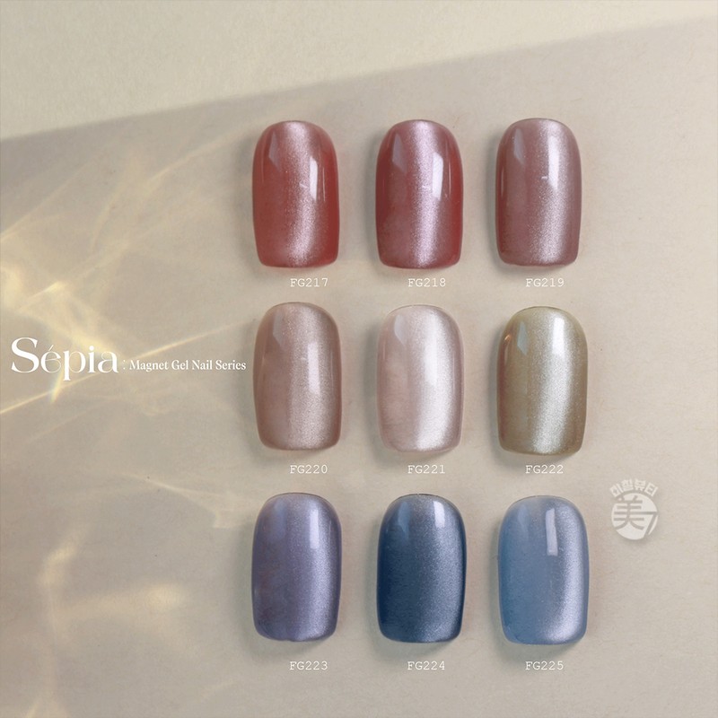 From the Nail Sepia Magnetic Gel Single Item / 프롬더네일