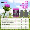 Milk Thistle Capsules | 80% Silymarin | 120 Capsules |