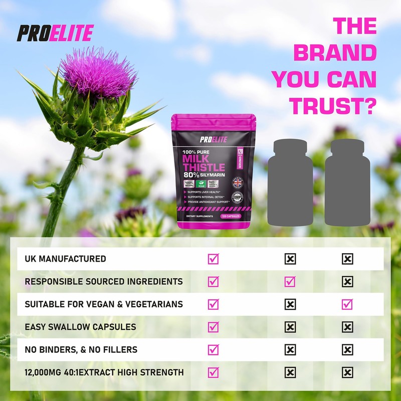 Milk Thistle Capsules | 80% Silymarin | 120 Capsules |