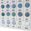 Seal Sheet [Japanese Color Sample] Tracing Seal/Seimei Color Light Blue