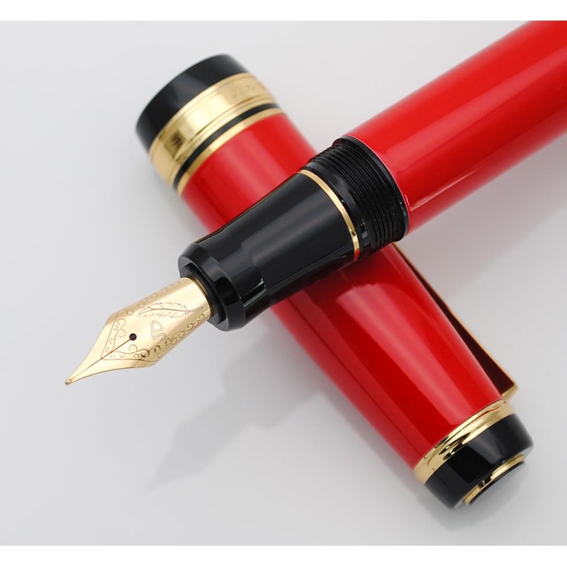 xixixiaozhu Metal Big Fountain Pen Set Medium Nib 0.7mm, Includes