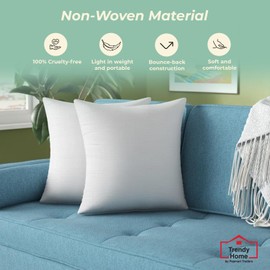 Trendy Home 20x20 Throw Pillow Insert (Set of 2, White) Bed and Couch Pillows Stuffer Hypoallergenic, Decorative Home Indoor Outdoor Sofa Pillow Filler (Non Woven, 2 Pack)