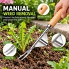 Wooden Handle Hand Weeder for Garden Weed Removal – Stainless