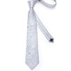 DiBanGu Mens Paisley Tie Formal Silk Tie & Pocket Square