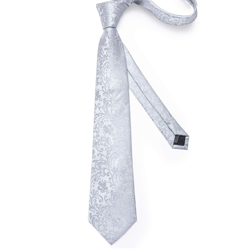 DiBanGu Mens Paisley Tie Formal Silk Tie & Pocket Square