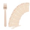 LifeGreen Disposable Wooden Forks