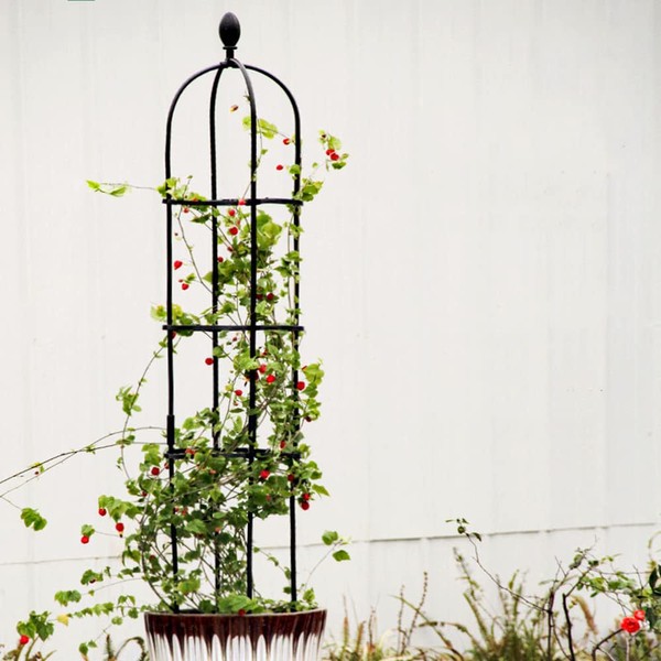desikaky Gardening Stanch, Rose, Vine Flower, Morning Glory, Metal, Gardening Stanch, Easy to Assemble, Adjustable Height, For Gardening, Cultivation, Outdoor, Gardening Supplies, Telescopic Trellis, 9.8 x 57.1 inches (25 x 145 cm)