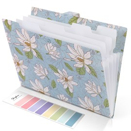 SKYDUE Expanding File Folder with 5 Pockets, Accordion File Organizer,Portable Receipt Paper Documents Organizer,Letter Size Filing Folder School Office Supplies,Sky Blue