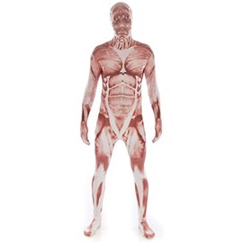 Morphsuits Men's Adult Costume, Muscle, Large