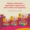 PLATO Grain Free Turkey Meat Bars Soft Dog Treats for