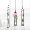 Aoderun Hanging Glass Planter Water Iron Art Hydroponic Vase Transparent