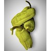 Greek Pepperoncini Pepper Seeds