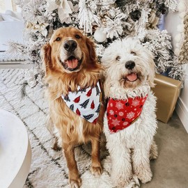 CROWNED BEAUTY Christmas Dog Bandanas 2 Pack, SnowTree Set, Adjustable Triangle Holiday Plaid Reversible Scarves for Medium Large Extra Large Dogs Pets DB01-L